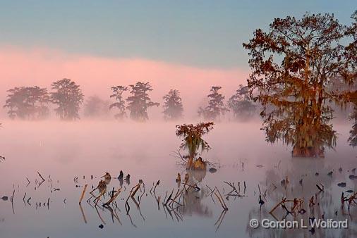 Lake Martin Sunrise Fog_26049.jpg - Photographed in the Cypress Island Preserve near Breaux Bridge, Louisiana, USA.